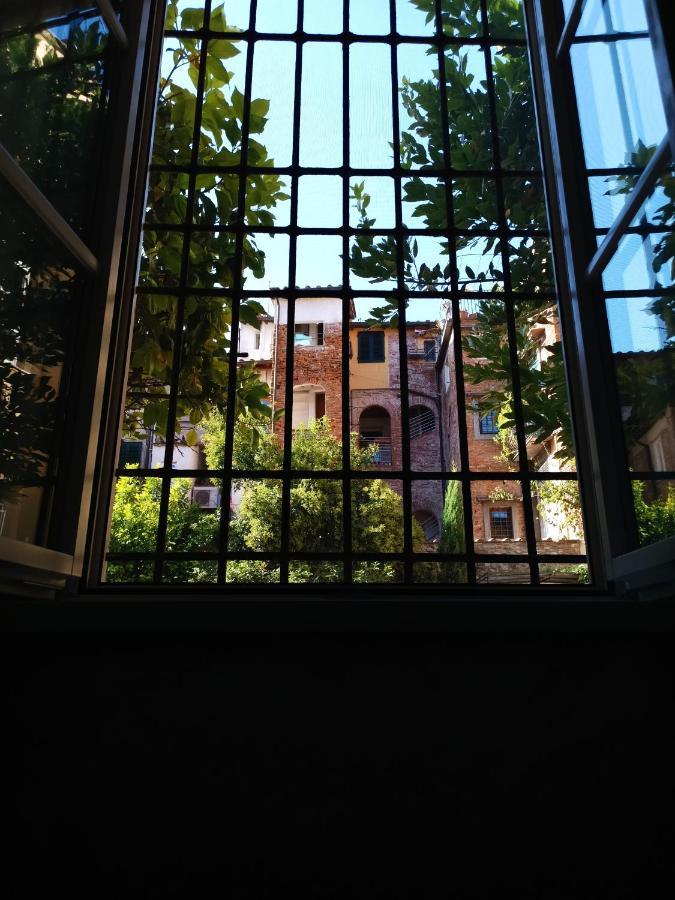 Chill In Tuscany Ground Floor Лукка Экстерьер фото